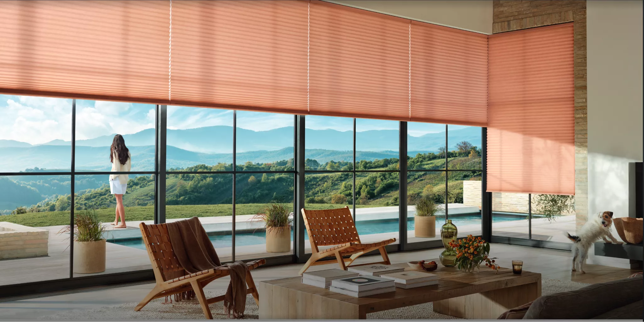 latest trends window treatments